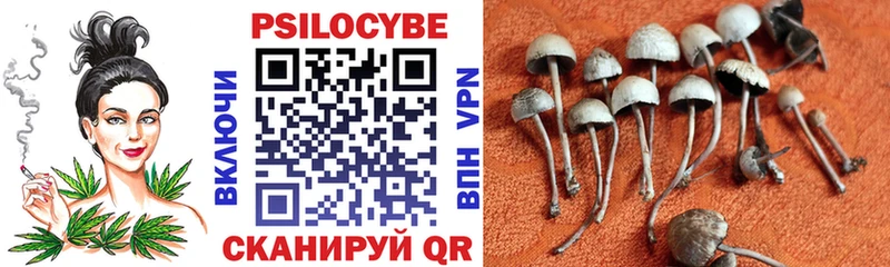 Псилоцибиновые грибы ЛСД  Купить где  Невинномысск